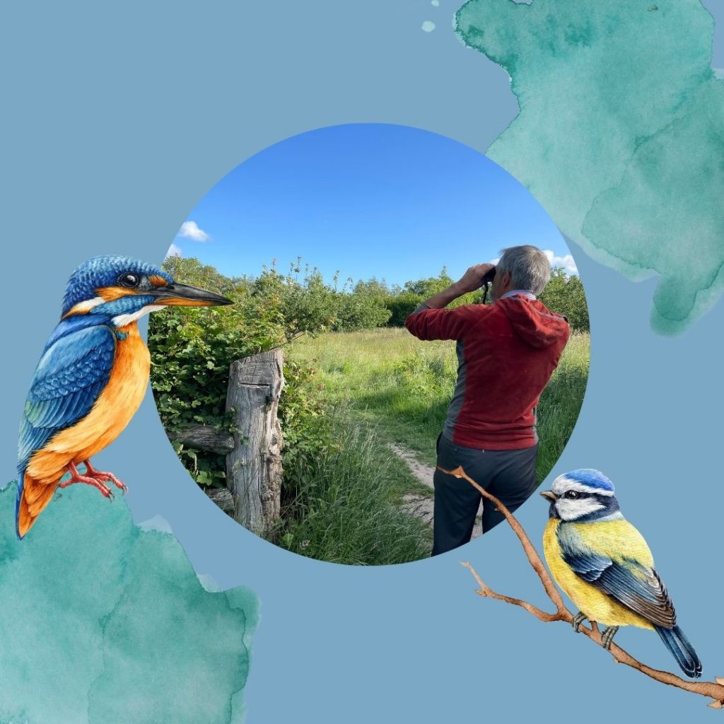 Wild About Wings Image