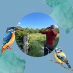 Wild About Wings Image