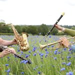 Instruments in the flower field